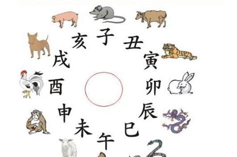 动物五行|动物五行属什么(十二生肖五行对照表图)